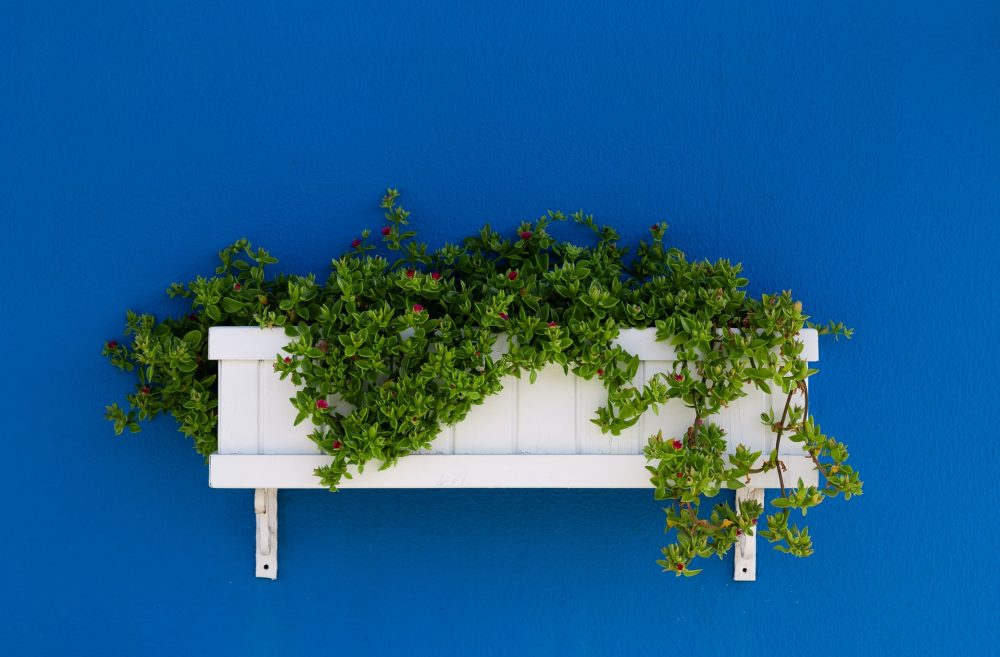 These Planters are best for your Garden