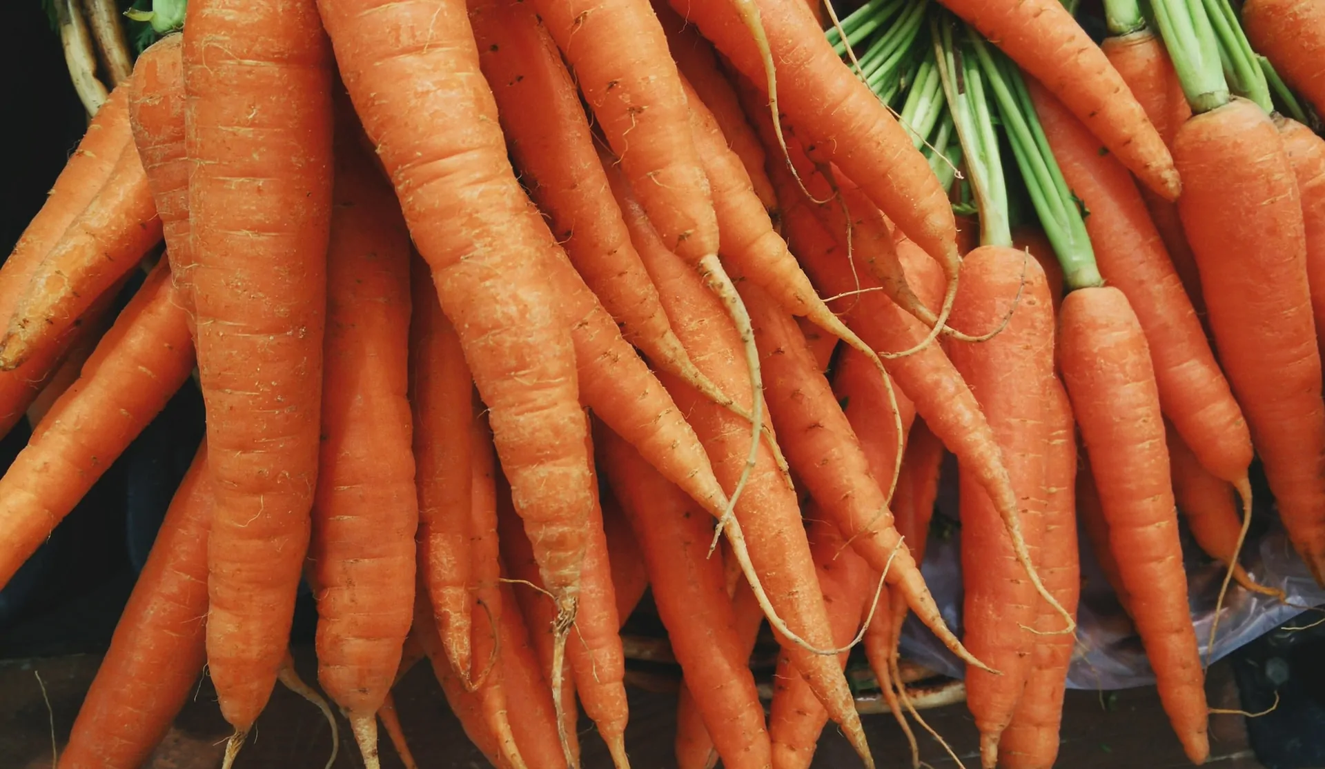 freezing-carrots-from-garden